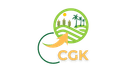 CGK Africa Connect